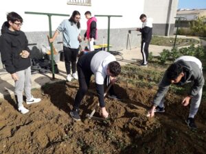 c76036e8-8933-4e8e-9be3-c093997626c3