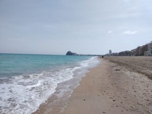 WhatsApp Image 2023-04-10 at 19.21.11