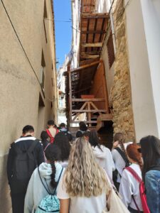 WhatsApp Image 2023-04-12 at 14.39.53 (3)