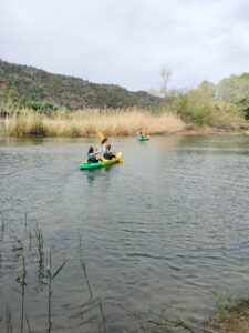 WhatsApp Image 2023-04-13 at 09.10.01