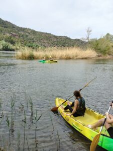 WhatsApp Image 2023-04-13 at 09.10.02 (1)