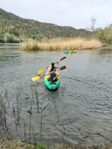 WhatsApp Image 2023-04-13 at 09.10.02