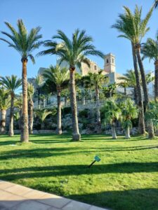 WhatsApp Image 2023-04-14 at 09.07.39