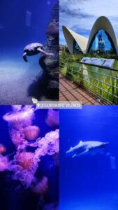 WhatsApp Image 2023-04-14 at 17.15.24