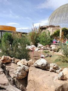 WhatsApp Image 2023-04-14 at 17.15.41 (2)