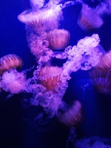 WhatsApp Image 2023-04-14 at 17.15.41