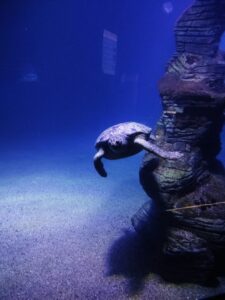 WhatsApp Image 2023-04-14 at 17.15.41 (3)