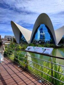 WhatsApp Image 2023-04-14 at 17.15.42 (1)