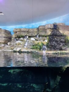 WhatsApp Image 2023-04-14 at 17.15.42