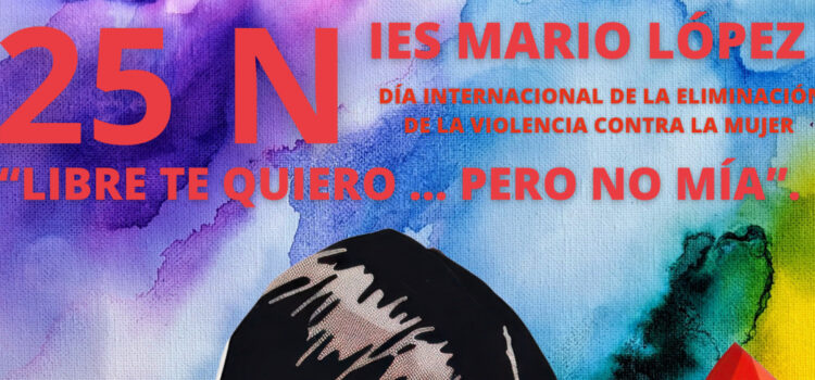 Día Internacional de la Eliminación de la Violencia contra la Mujer – 25N
