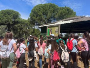 WhatsApp Image 2024-05-09 at 13.22.33 (1)