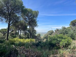 WhatsApp Image 2024-05-09 at 13.22.34 (1)