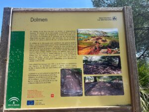 WhatsApp Image 2024-05-09 at 13.22.35