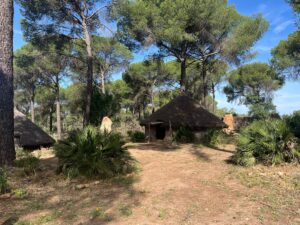 WhatsApp Image 2024-05-09 at 13.22.36