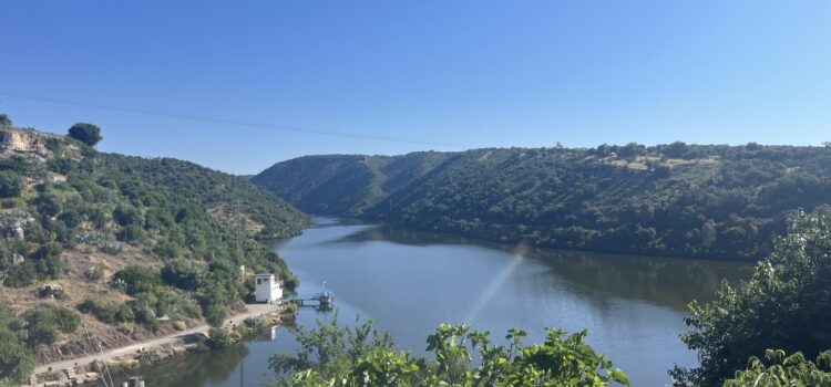🌲 Excursión Multiaventura a Hornachuelos: ¡Premio Aulas Guapas! 🌲 Excursión Multiaventura a Hornachuelos: ¡Premio Aulas Guapas!