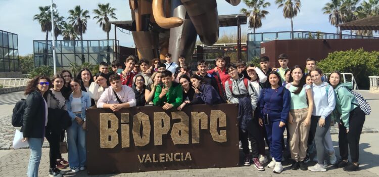 Viaje Fin de Estudios 2026